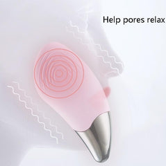 Electric Facial Cleansing Brush For Face 1pc